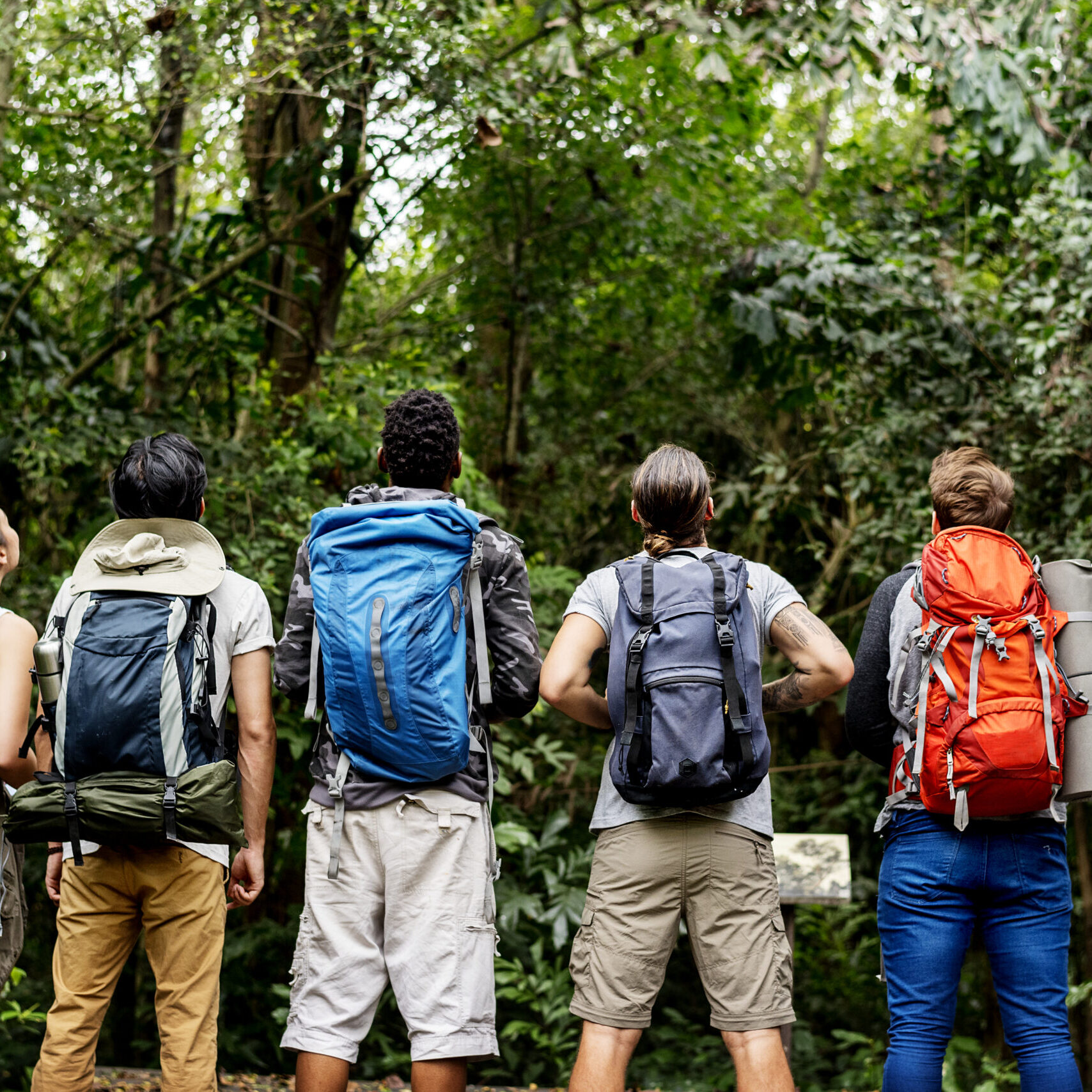 Trekking together in a forest