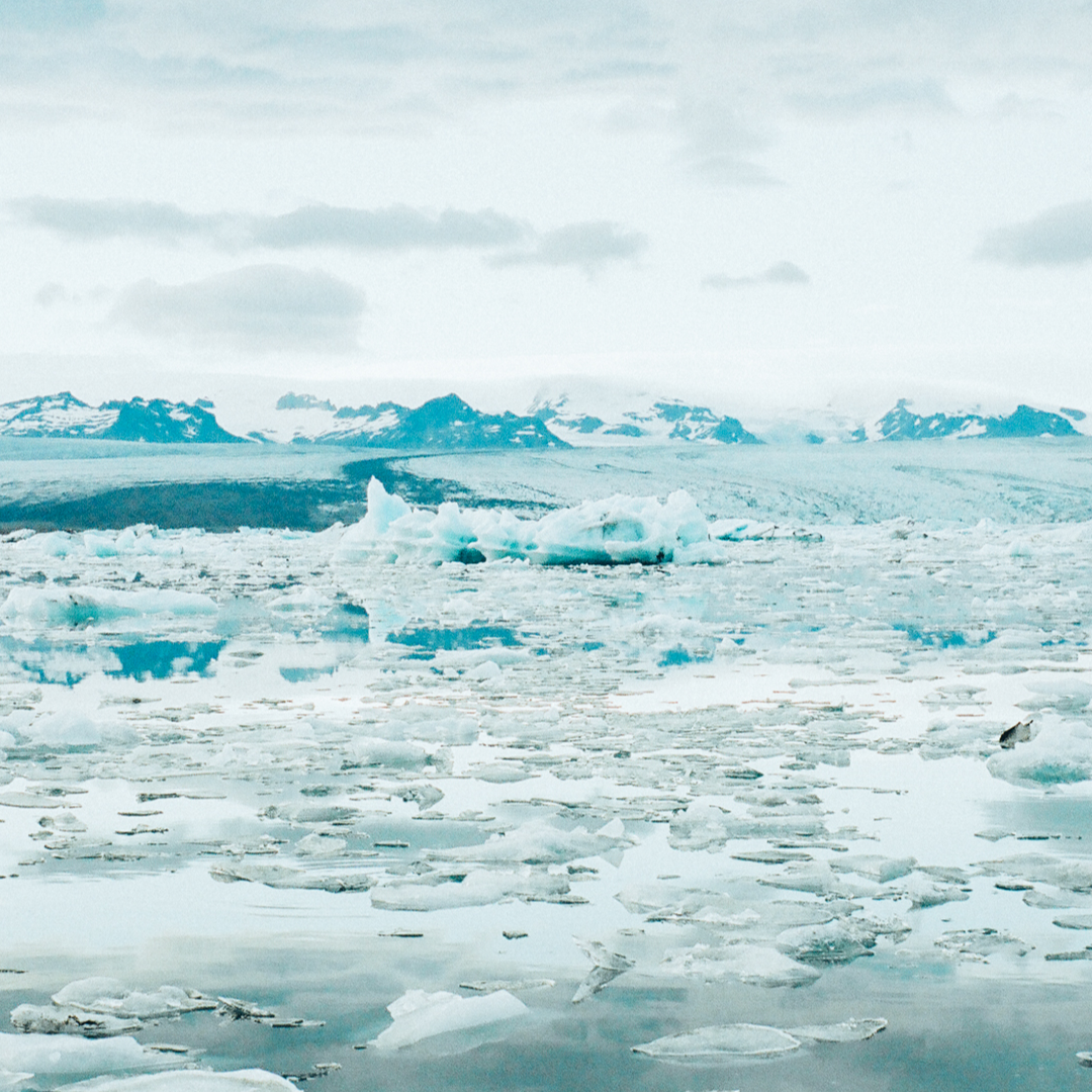 Progetto senza titolo