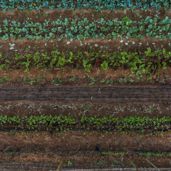 Farming and food production are key drivers of climate change, but sustainable agriculture is an important piece of the puzzle for achieving decarbonisation. Images that help make this connection in the public mind play a role in making this goal a reality, and the Climate Visuals research suggests that showing by doing is an effective visual message for public audiences.